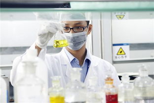 新高考“3+1+2”模式下，選定物理或歷史后，剩余兩科如何科學(xué)抉擇？—— 一份全面的信息咨詢服務(wù)指南